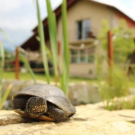 Therefuge * Curtea de Argeş